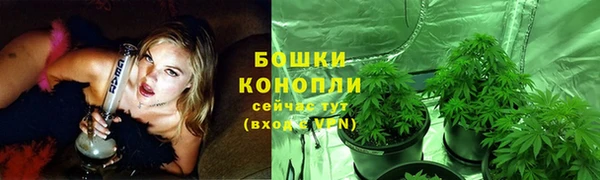 крисы Арсеньев