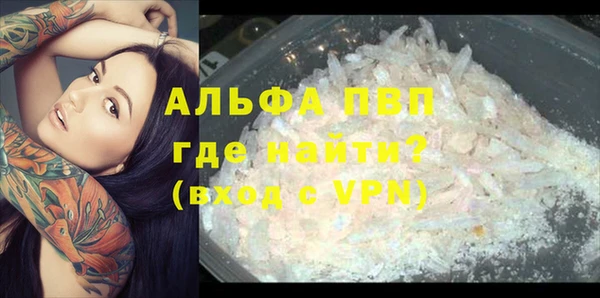крисы Арсеньев