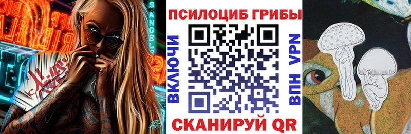 Галлюциногенные грибы Cubensis  Купить где  Сосновый Бор 