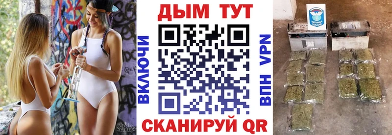 Купить закладки  Сосновый Бор  Конопля конопля 